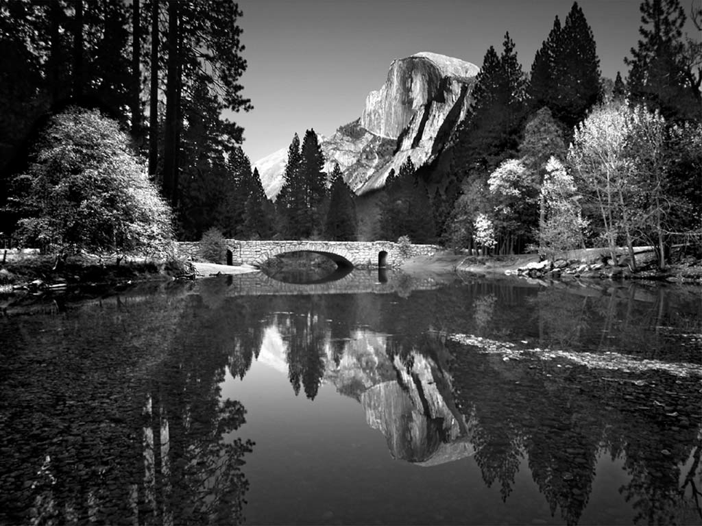 ansel-yosemite
